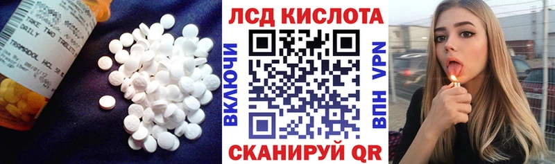 ЛСД экстази ecstasy  Жиздра 