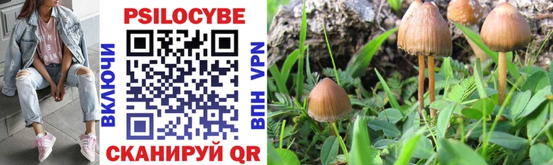 магазин наркотиков Жиздра Галлюциногенные грибы Magic Shrooms
